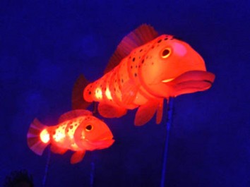 The Little Mermaid – Lantern Fish